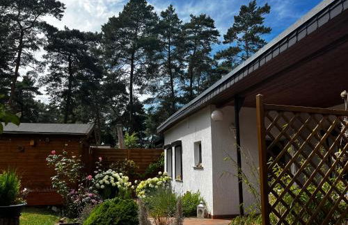 Kiefernblick - Foto 16