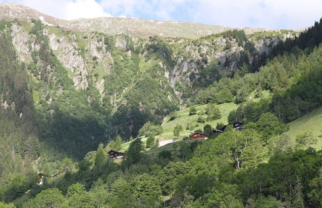 Glacier Views & Ski Trails - Foto 44