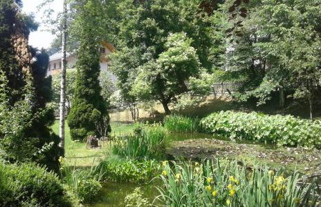 Malerhaus am Kolbergarten - Foto 15