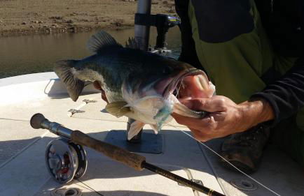 Casa Rural El Arco - Foto 35