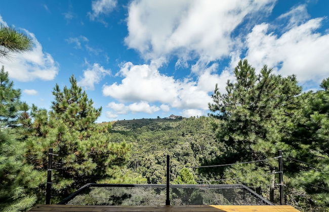 Chales Naturale - Campos do Jordão - CNA - Foto 28