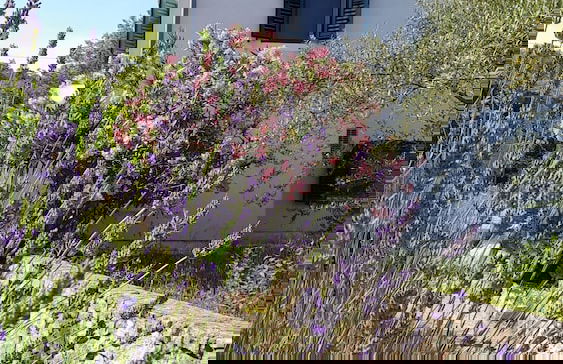 Detached House Miketa - Foto 56