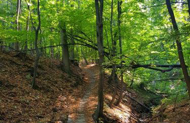 APARTAMENTY SZYNDZIELNIA RODZINNE - 2 SYPIALNIE & BALKON & GÓRY & Parking - TWOJA BAZA WYPADOWA NA SZLAKI i W GÓRY - FAMILY SPACE & BASE - Foto 62