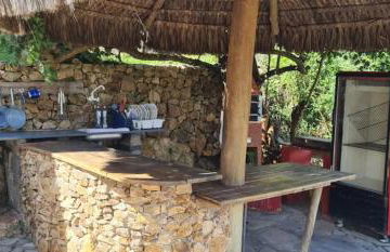 Will Container Experience - Foto 59