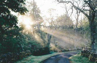 Cardross Holiday Cottages - Foto 44