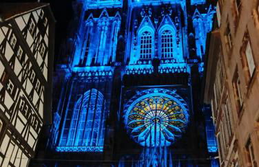 Gîte Le Marronnier, parking et terrasse au calme, entre Colmar-Riquewihr et Obernai, vue sur espaces verts et coteaux d Alsace, route du vin-châteaux - Foto 33
