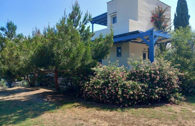 Kedros Villas - Photo 31