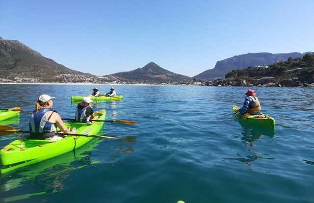 Tour en kayak por Ciudad del Cabo - Foto 4