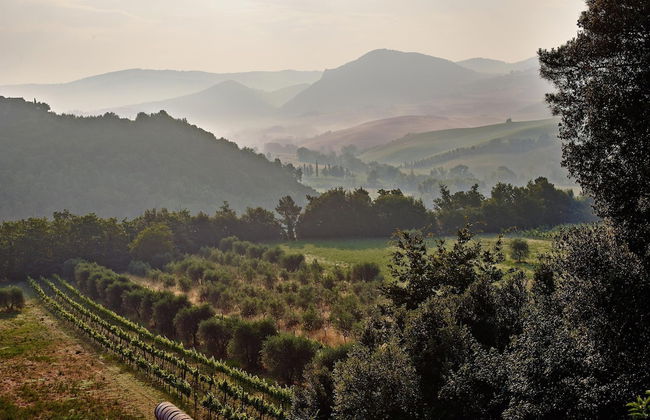 Agriturismo Podere Cortilla - Foto 50