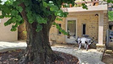 Gîte 2 "Le Tilia " aux magnolias 3 étoiles - Foto 3