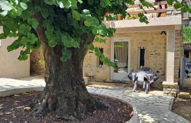 Gîte 2 "Le Tilia " aux magnolias 3 étoiles - Foto 3