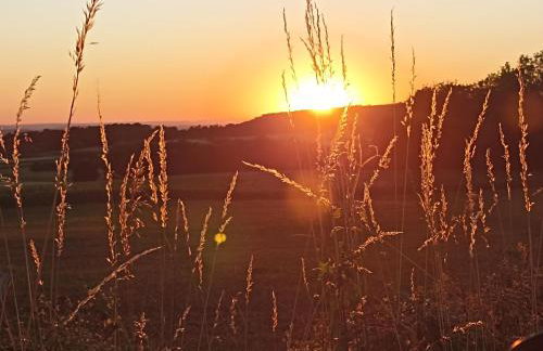 Ferienwohnung NatuRaum - Photo 39