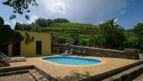 Casa de São Roque - Lamego - Photo 4