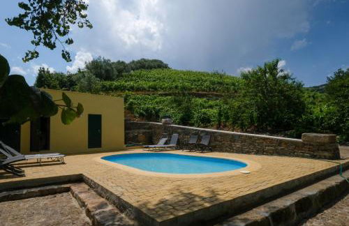 Casa de São Roque - Lamego - Foto 4