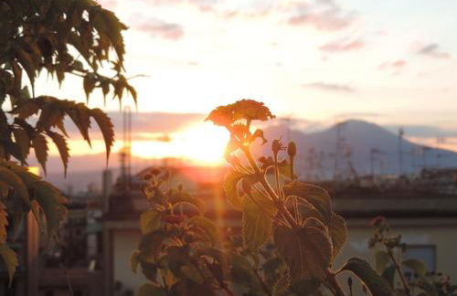 Sinfonia di Napoli - Foto 68