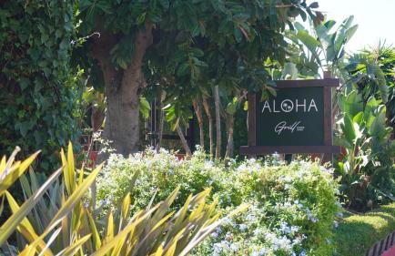 Banús Walk Apartment - Foto 48