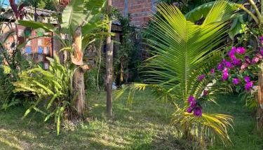 Casa da Cascata - Foto 3