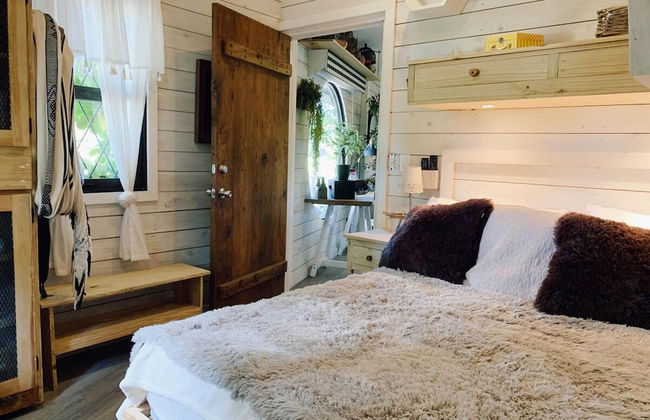 Quinta Pavo Real Complex by Acomodo - Photo 12