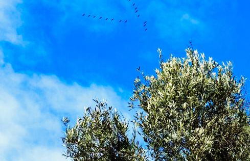 Casa Rural al Sol De Las Ruinas- piscina privada - Photo 49