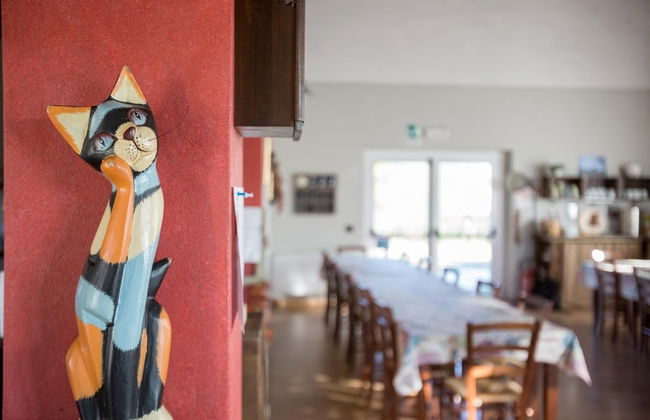 Società Agricola Cacigolara - Foto 26