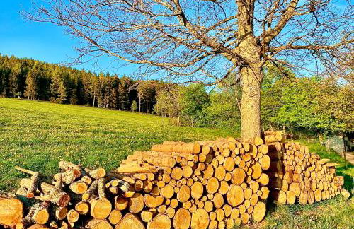 FeWo Fuchs Saig - Photo 65