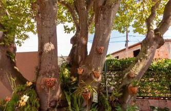 Villa Matilde - Foto 79