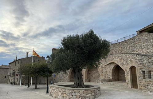 Lo Mirador De Forès - Foto 17