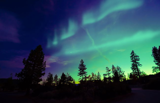 Villas Karhunpesä - Foto 12