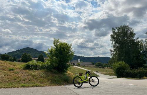 Appartement Gabriela ACHTUNG nur Feriengäste willkommen,es ist keine Arbeiterunterkunft - Foto 1