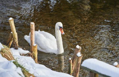 Chaber Apartamenty - Foto 69