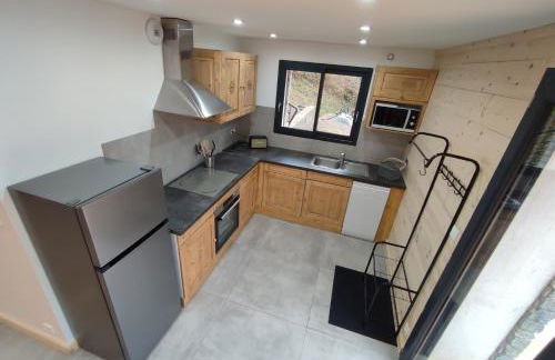 Le Bois Cosy appartement 4 étoiles 6 personnes, ACCES SKI ALPE D'HUEZ GRAND DOMAINE A 3 K M - Foto 33