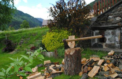 Appartamenti Casavacanzepejo - Foto 11