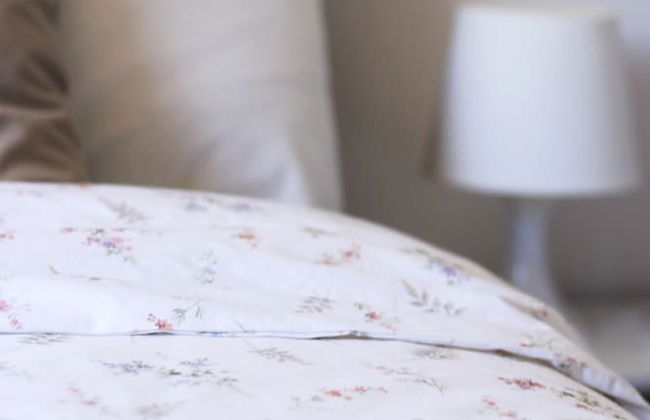 Sobreiros's Villa in Douro Valley - Foto 10