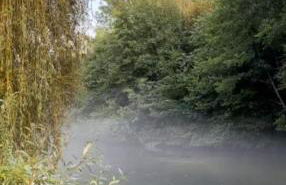 Gîte De Vacances Jardin Monet Giverny Vernon - Foto 34