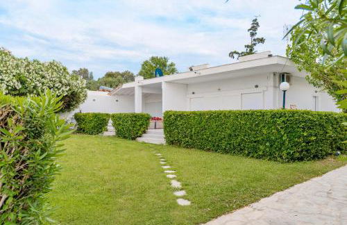 Seashell by halu! - Foto 21