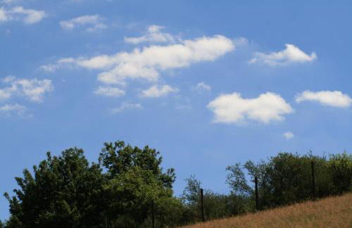 EIFELCOTTAGE Family 9 - Photo 24