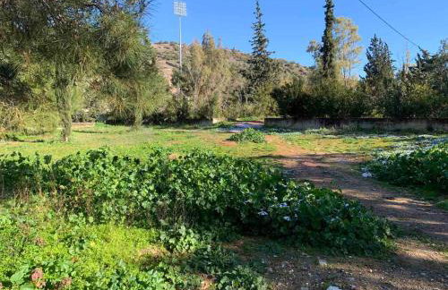 Lillian’s House - Foto 52