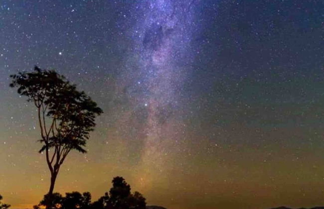 Cabane Tiny Tree House no4 - Foto 24