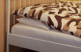 City-Ferienwohnungen-Dresden - zentral gelegen im Haus Louisenstrasse 11 - Dresden-Neustadt - Foto 38