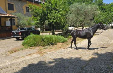 CANTUCCIO nel Verde - Photo 74