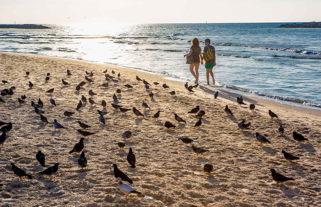 Premium suites on Beach Ben Yehuda 43 - Foto 34