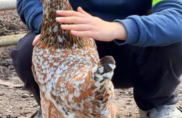 Apartment Landfeeling - Foto 27