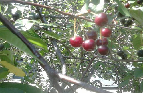 Anamarija's Apartments - Foto 53