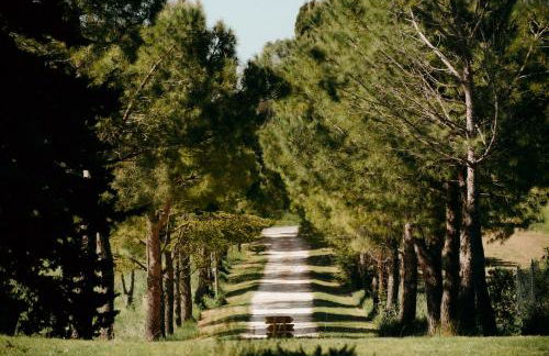 ZEM casolare - Foto 24