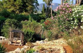 Guest House El Angelito de Olivas - Foto 14