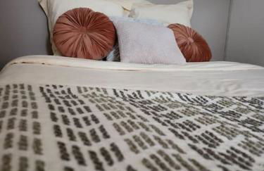 Gîte Animals King'Dôme 8min du Zoo de Beauval - Foto 43