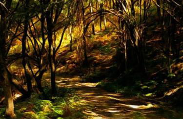 Casa Rural Cabo la Aldea - Foto 18