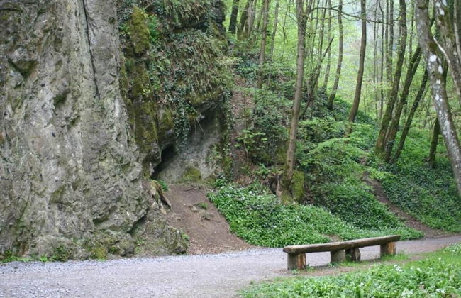 Chalet Near Durbuy With Private Garden - Photo 35