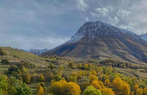 La scierie de la grande ourse - Foto 9