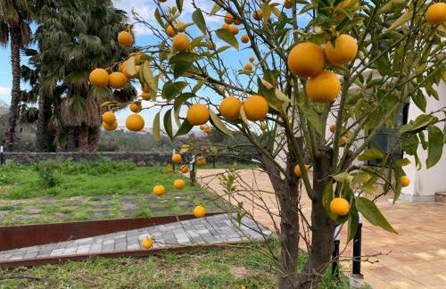 PetraSicula Apartment - Foto 36